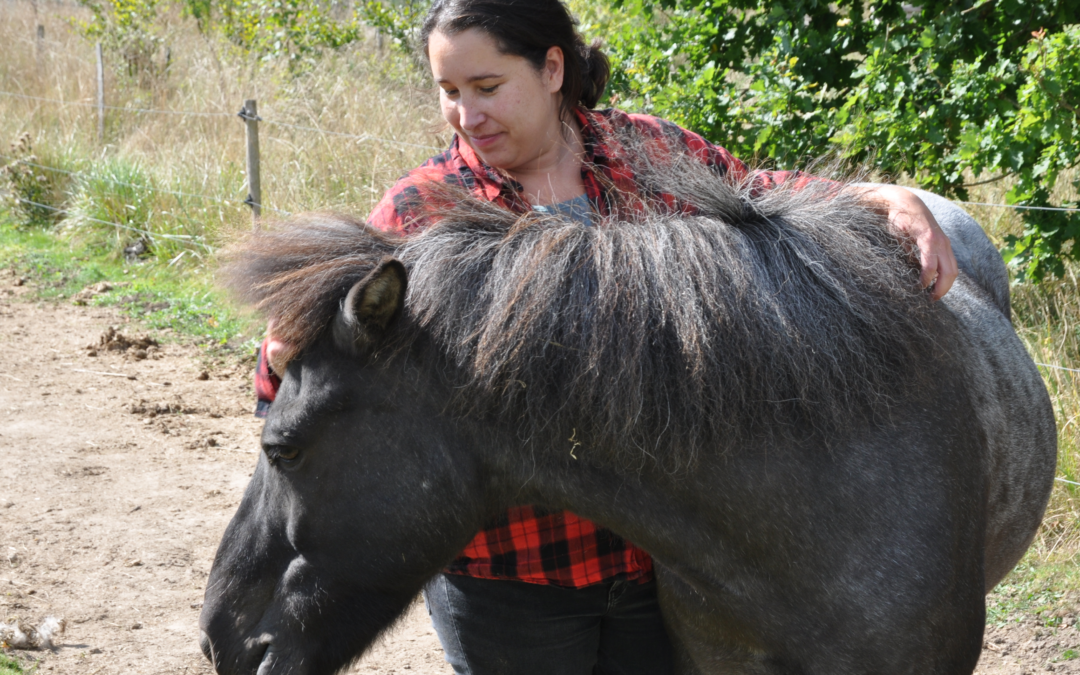 Hesteassisteret terapi